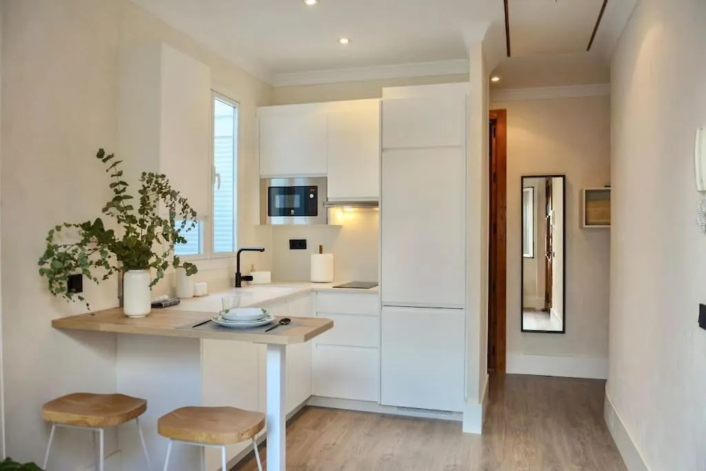 Apartamento Malaga Centro Historico - Atico Apartment